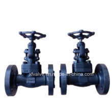 Forged Carbon Steel A105 Flange Connection End Globe Valve